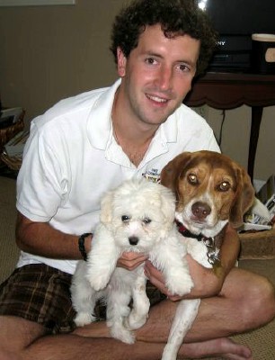 Maltipoo Full Grown
